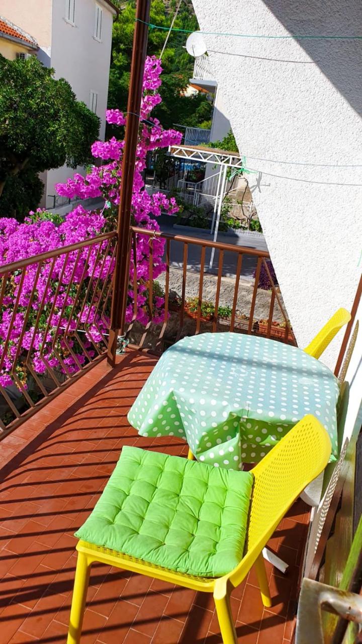 Apartmani Batinović - Baška Voda - 5