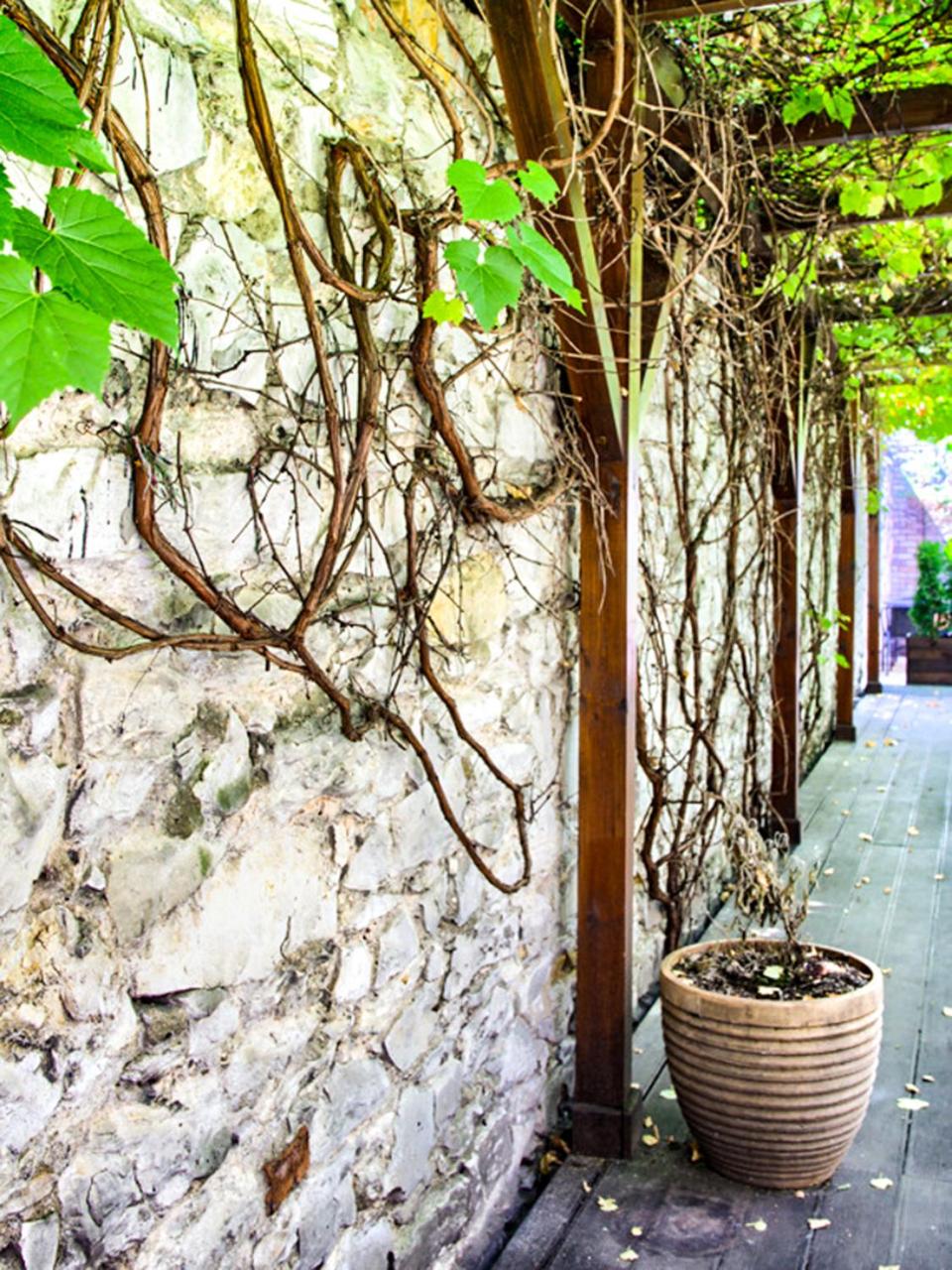 GRONO Apartamenty
