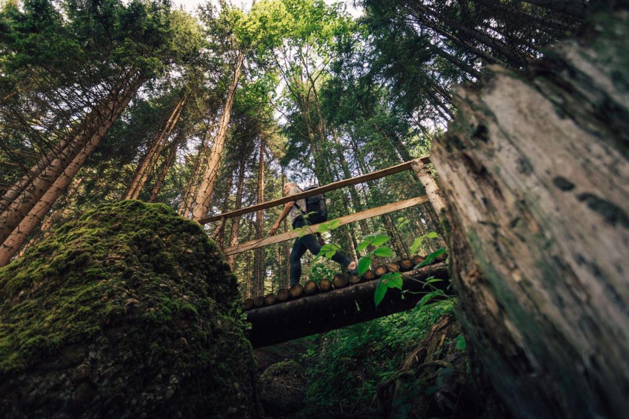 Torghele's Wald & Fluh photo 3