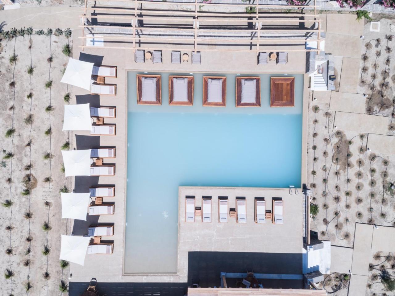Ammothines Cycladic Suites - 4