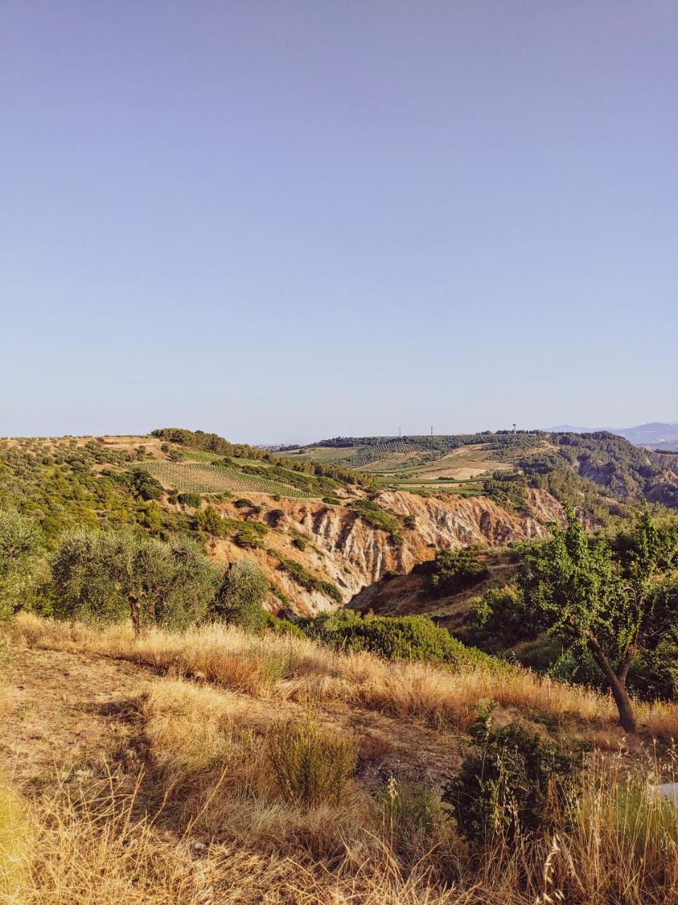 Masseria Crocco photo 2
