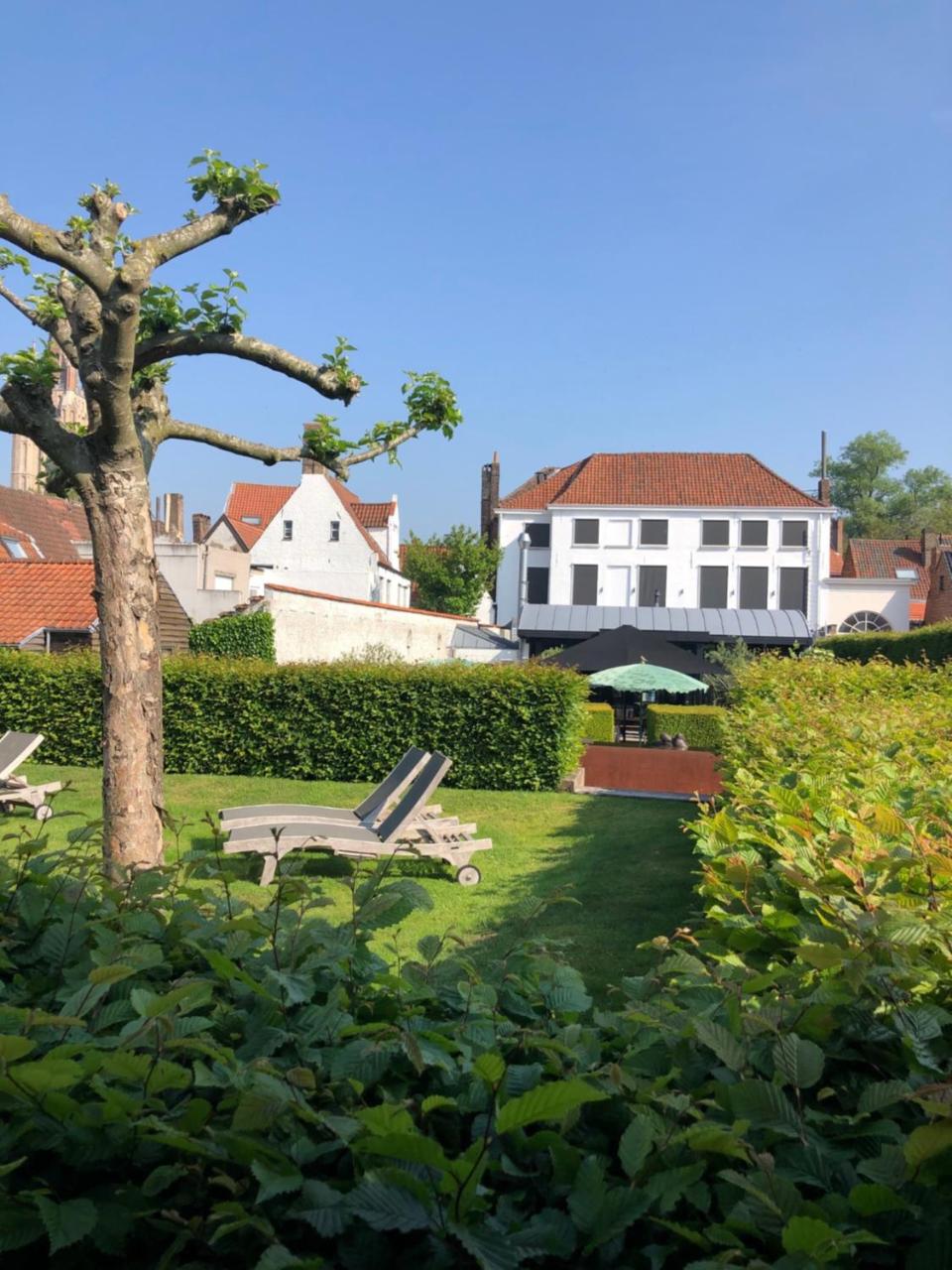 Hotel Montanus photo 3