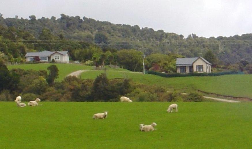 Hilltop Accommodation Catlins photo 2