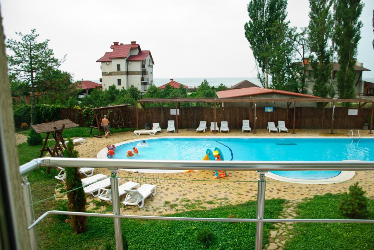 Delfin photo 4