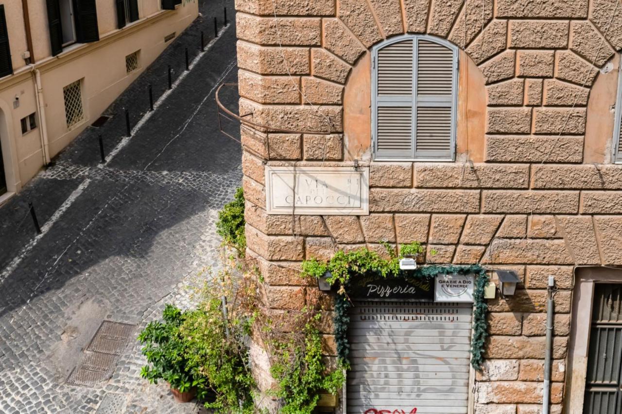 LIVING COLOSSEUM photo 2