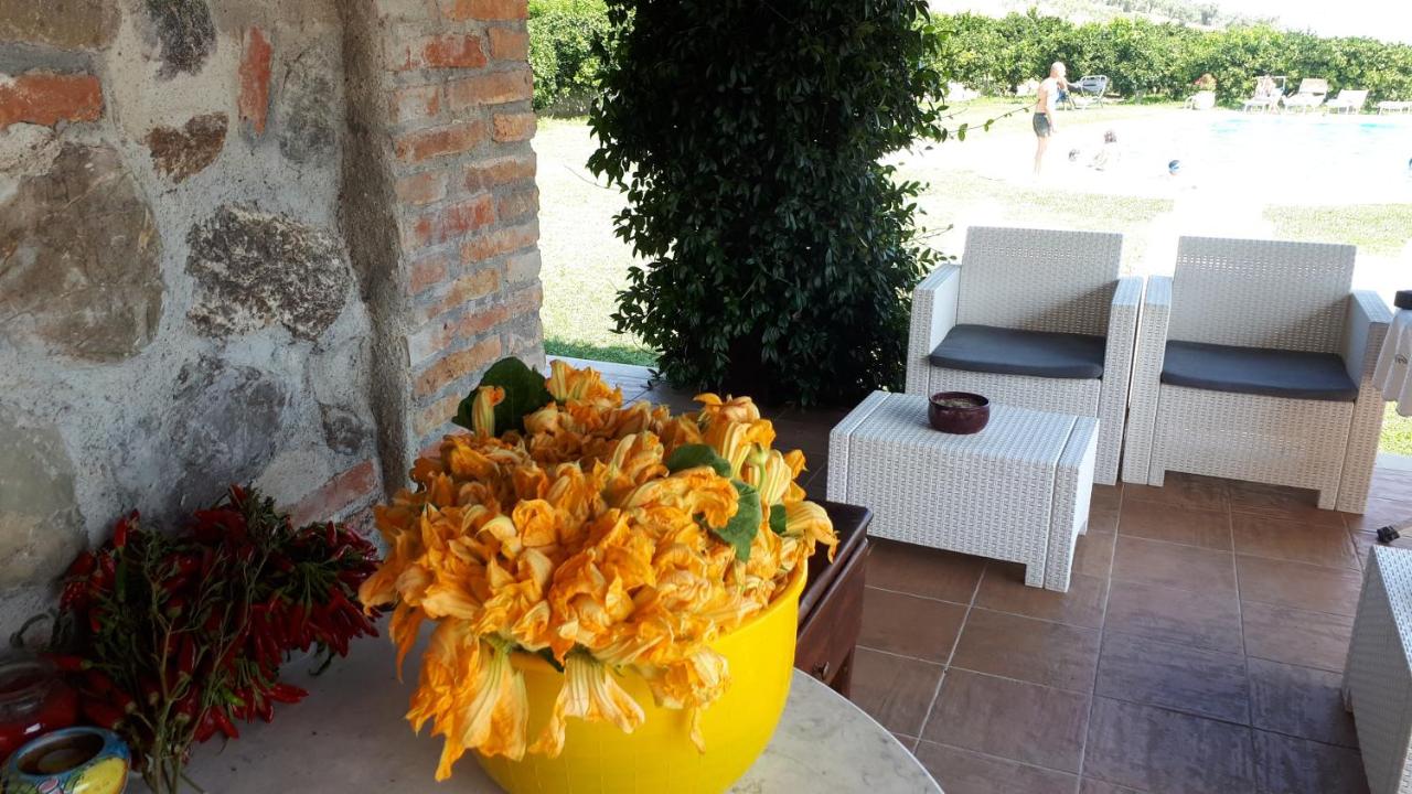 Agriturismo Trappeto Vecchio photo 3