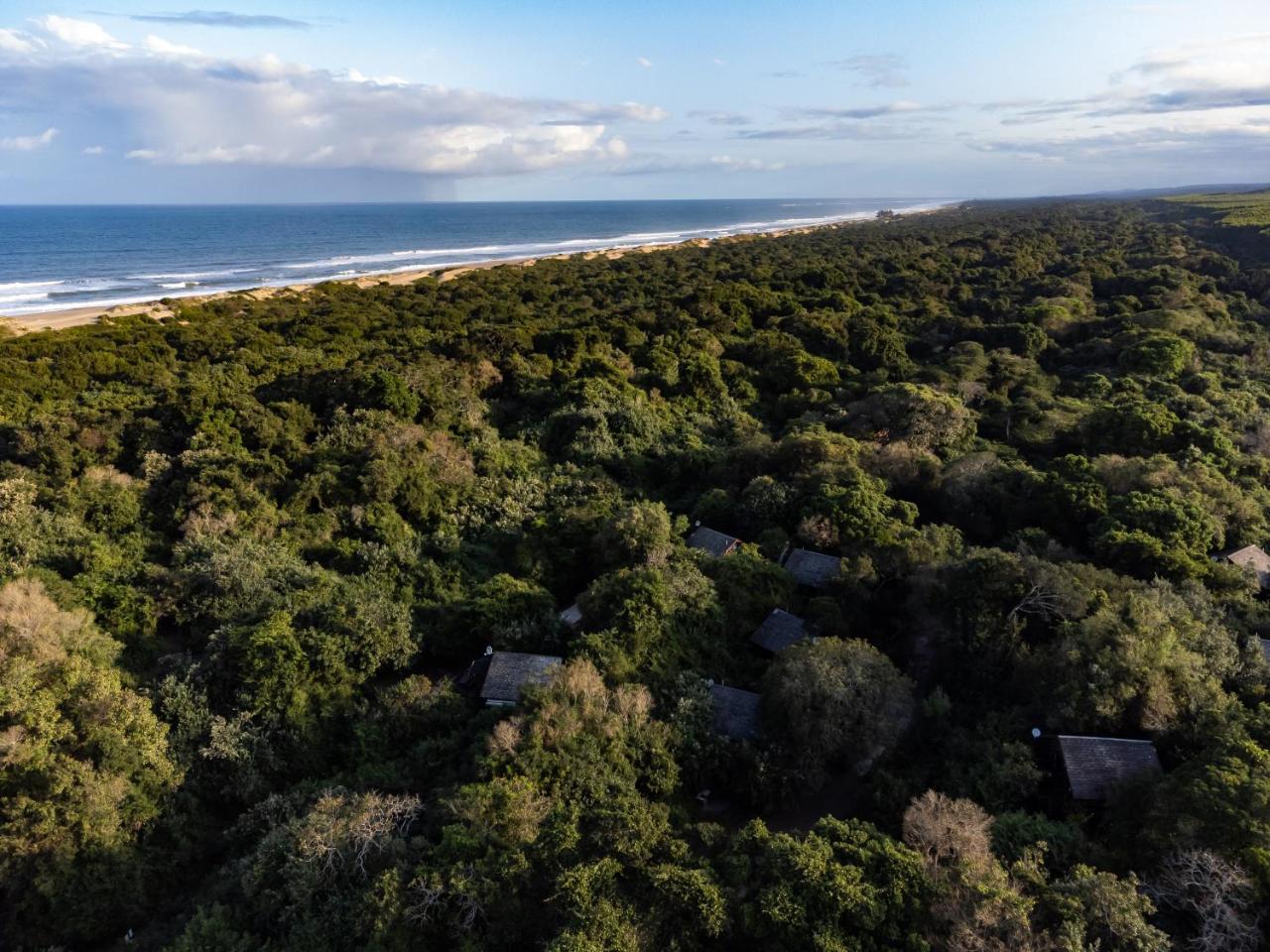 Mtunzini Forest Lodge Self Catering Resort photo 3