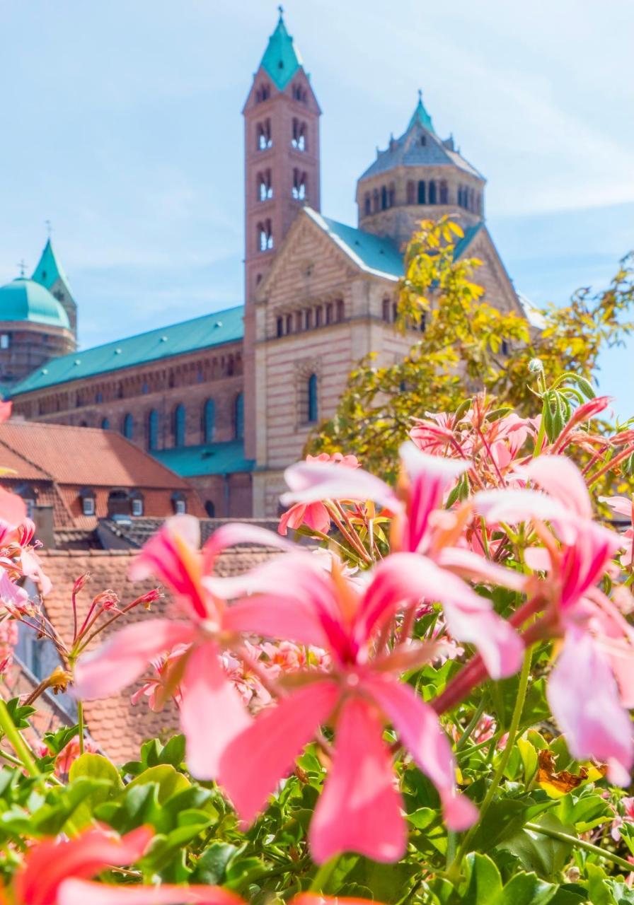 Foto - Hotel Domhof