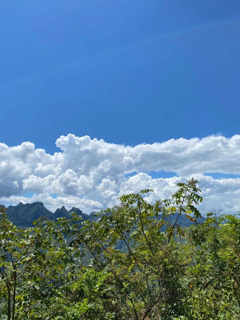 Nhà nghỉ Việt Nhật photo 4