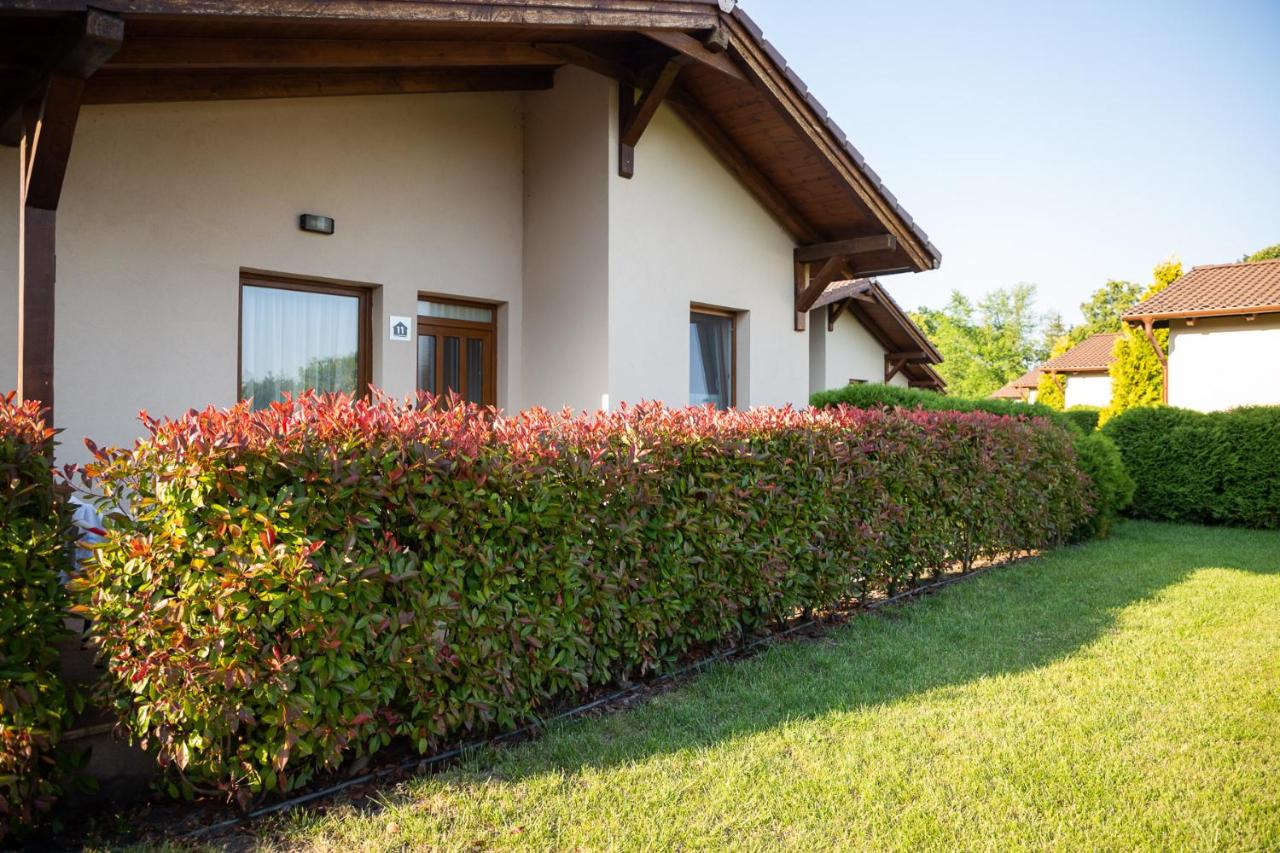 Pandora Zsóry Apartmanok Mezőkövesd - 3