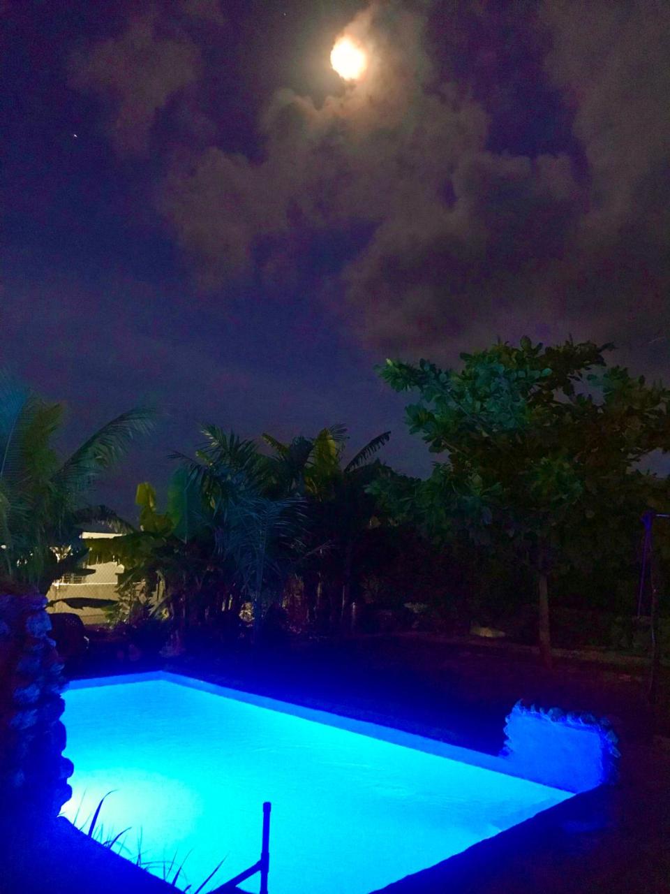 ECOVILLA CORAL GARDEN photo 2
