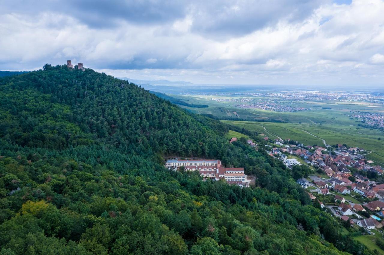 Hotel SPA Husseren Collections - Proche Colmar - Eguisheim - 2