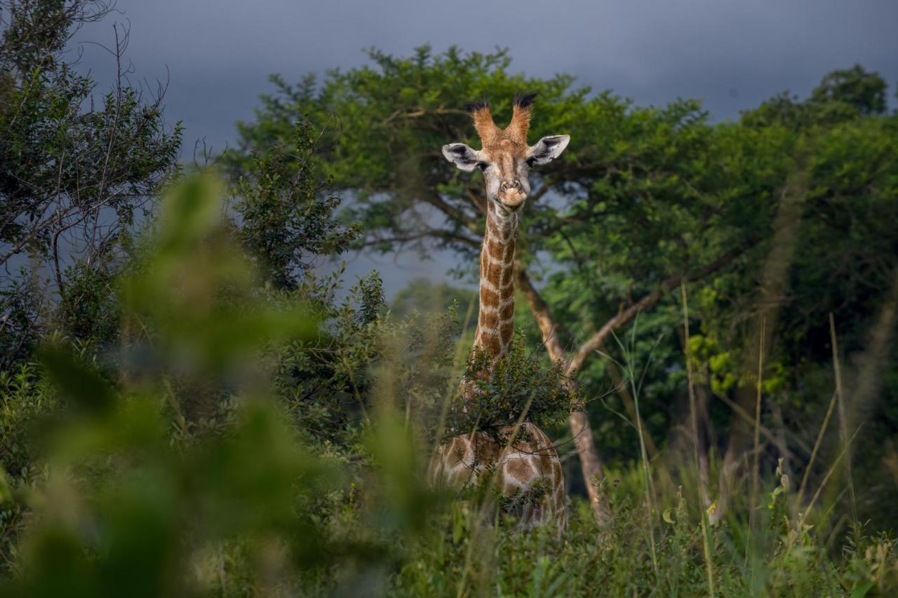 Caracal Lodge photo 2