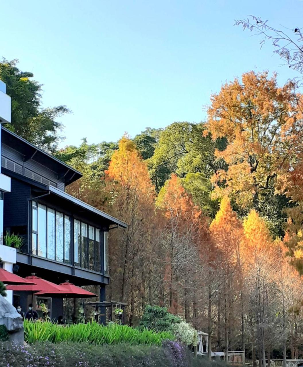 松之戀湖畔森林旅宿 The Pines photo 4