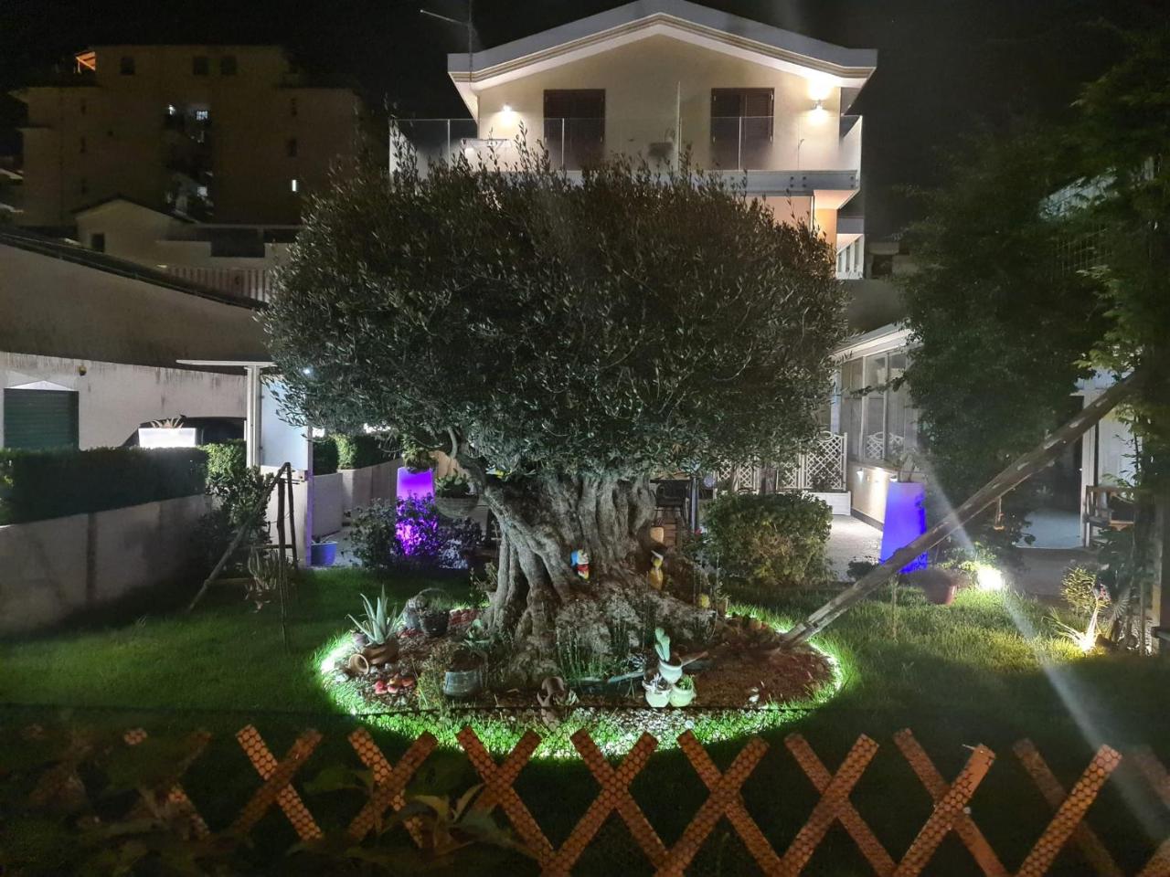 Residenza Carlucci - 3