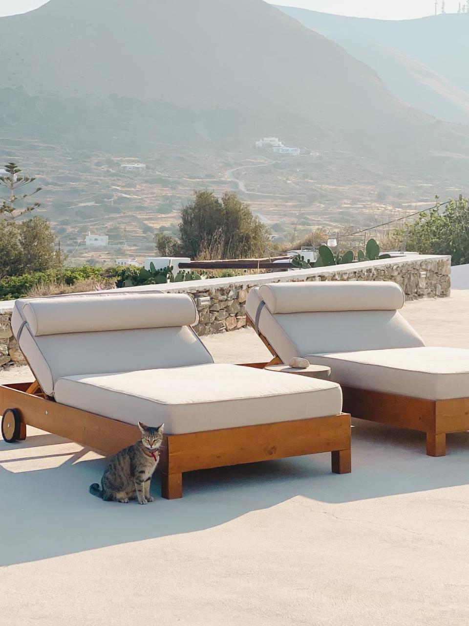 Pino di Loto Boutique Bed & Breakfast - 6