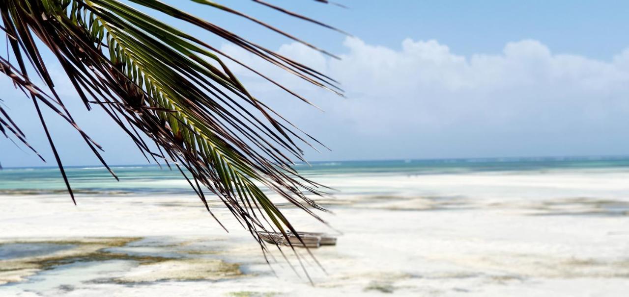 ARYA Boutique Resort photo 3