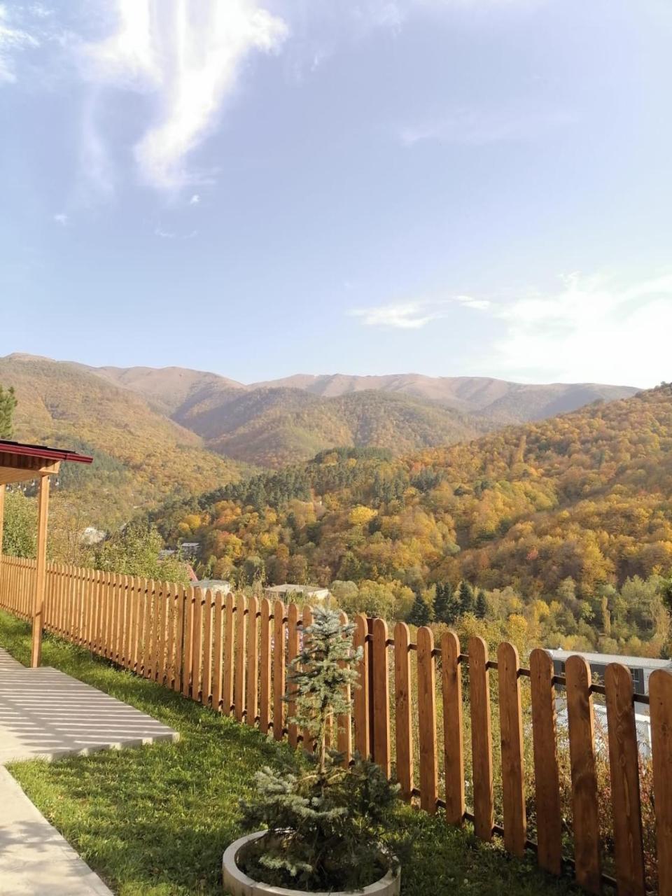 Popock Dilijan 1 photo 2