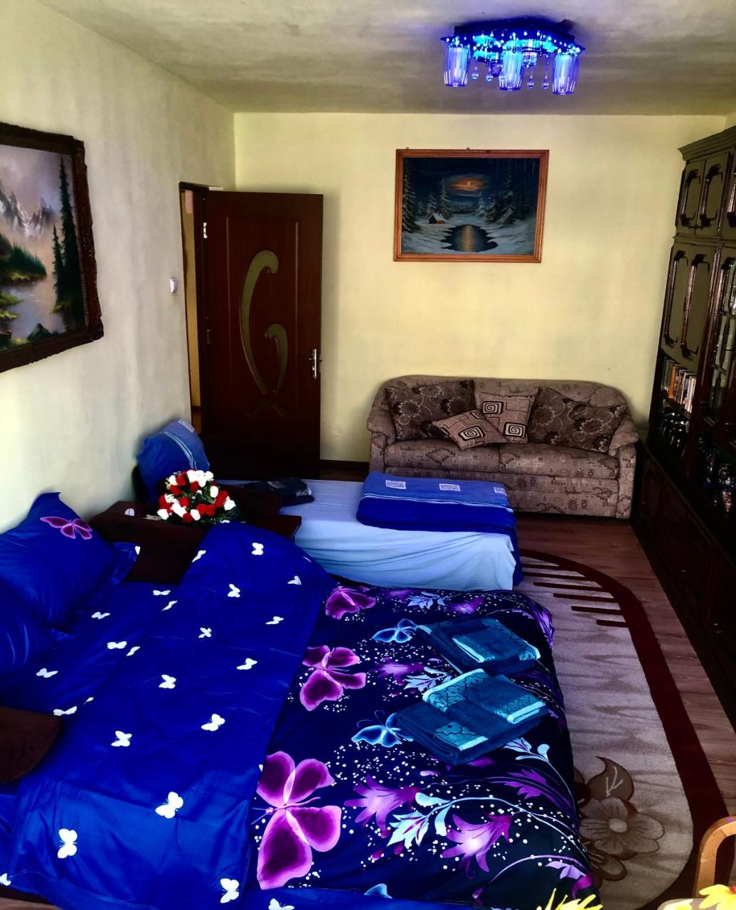 La SYMO apartament STRAJA Lupeni - 6