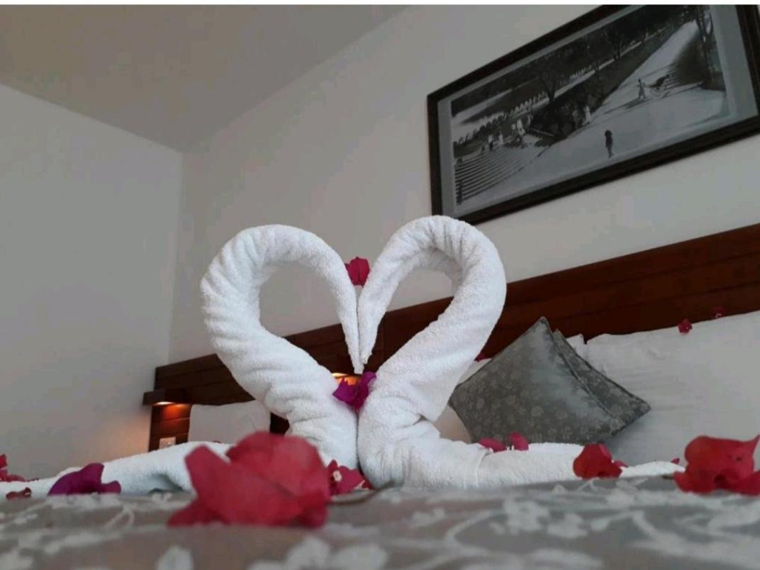Foto - Kandyan View Holiday Bungalow free pickup from kandy