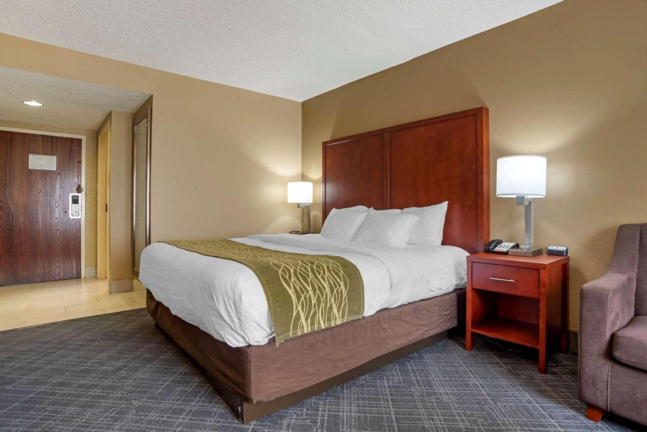 Comfort Inn University Area photo 2