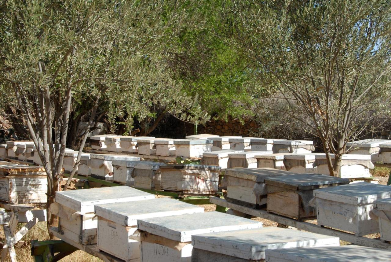 Hotel Aladarissa Ait Baha photo 3