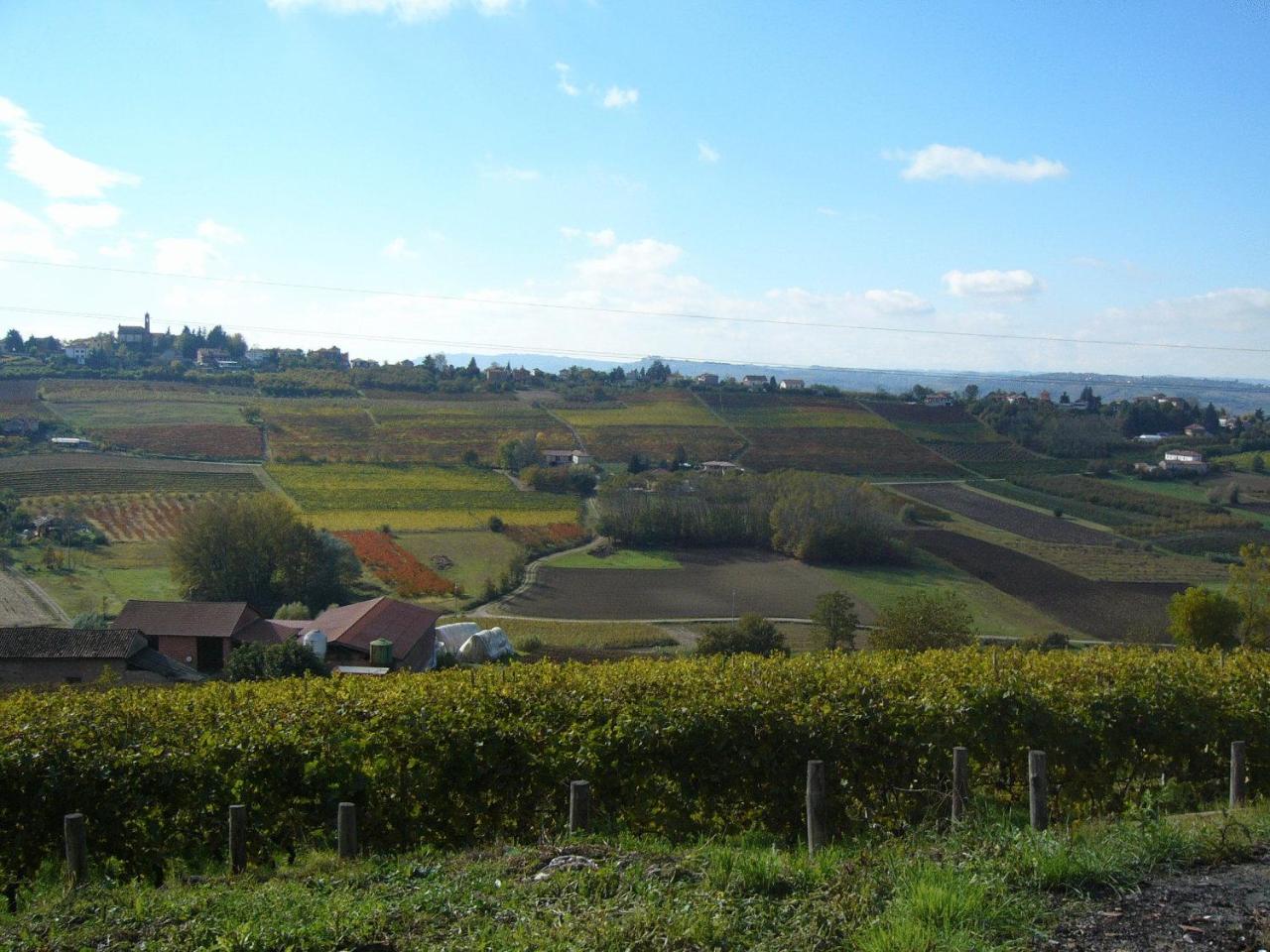 Agriturismo Podere La Piazza photo 4