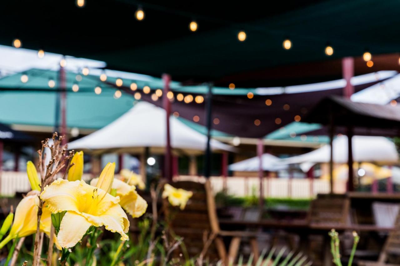 The Bearded Dragon Boutique Hotel
