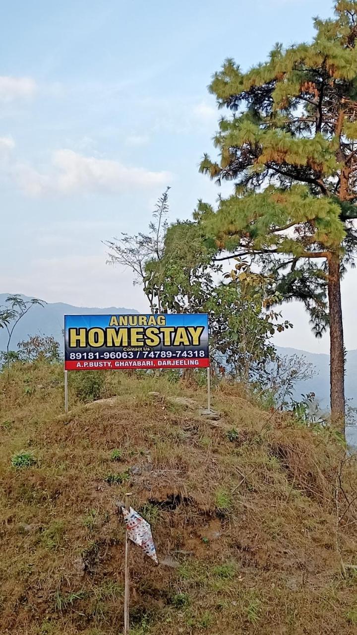 ANURAG HOMESTAY photo 4