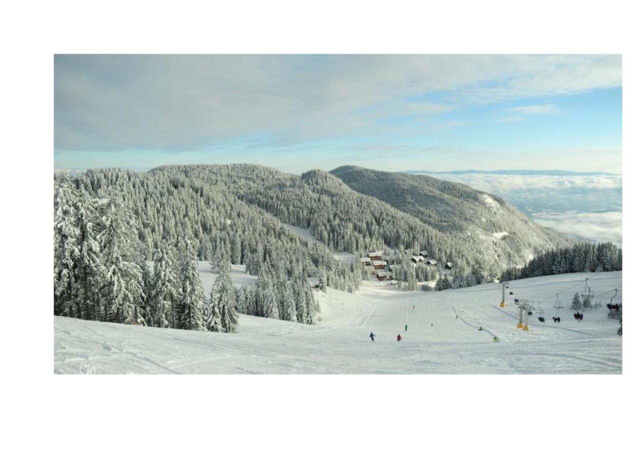 Apartma A1 GOLTE - 4