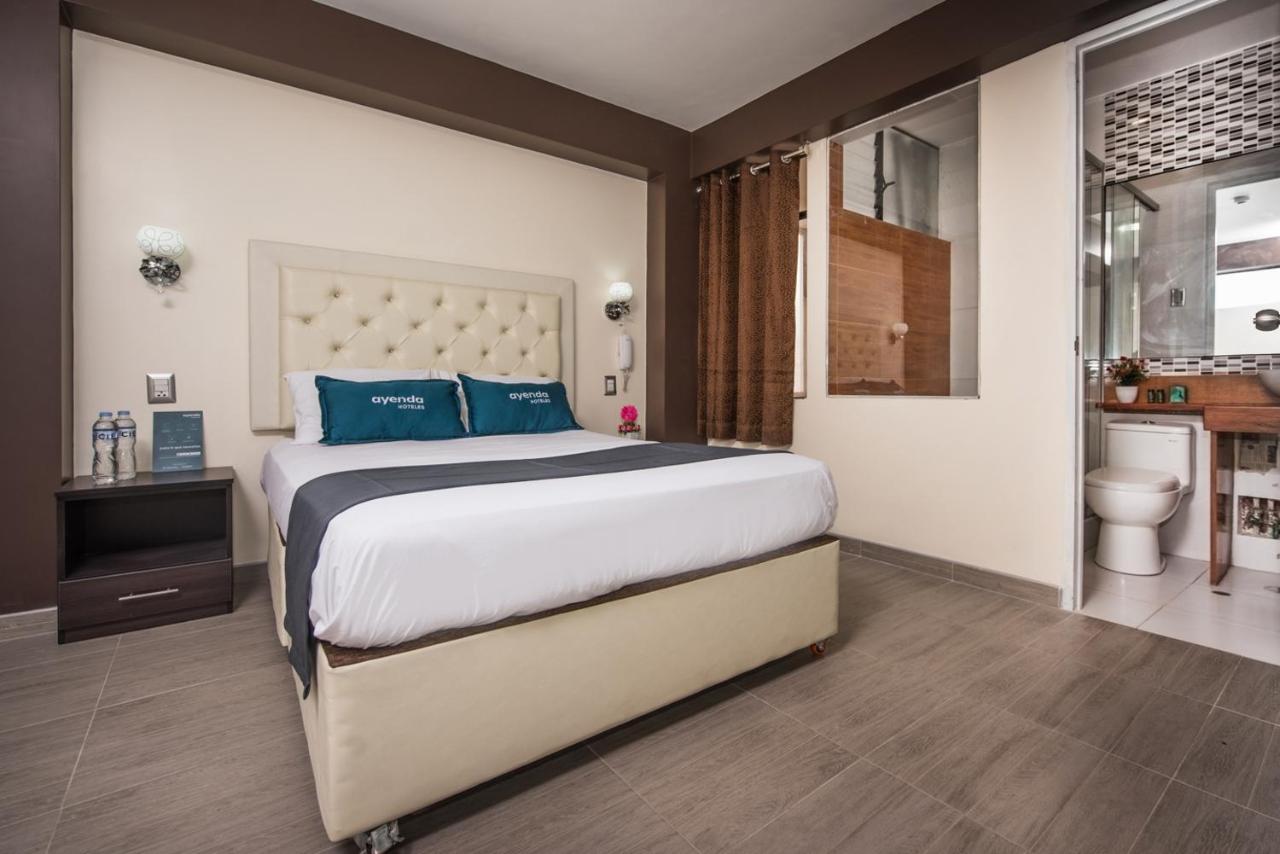 Foto - Olimpo Hotel Sauna & Spa
