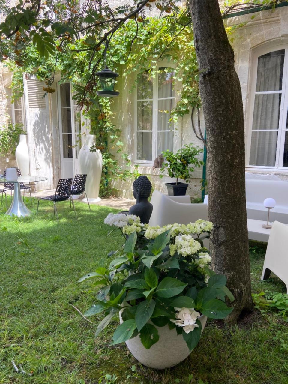 Vieille rose - 3