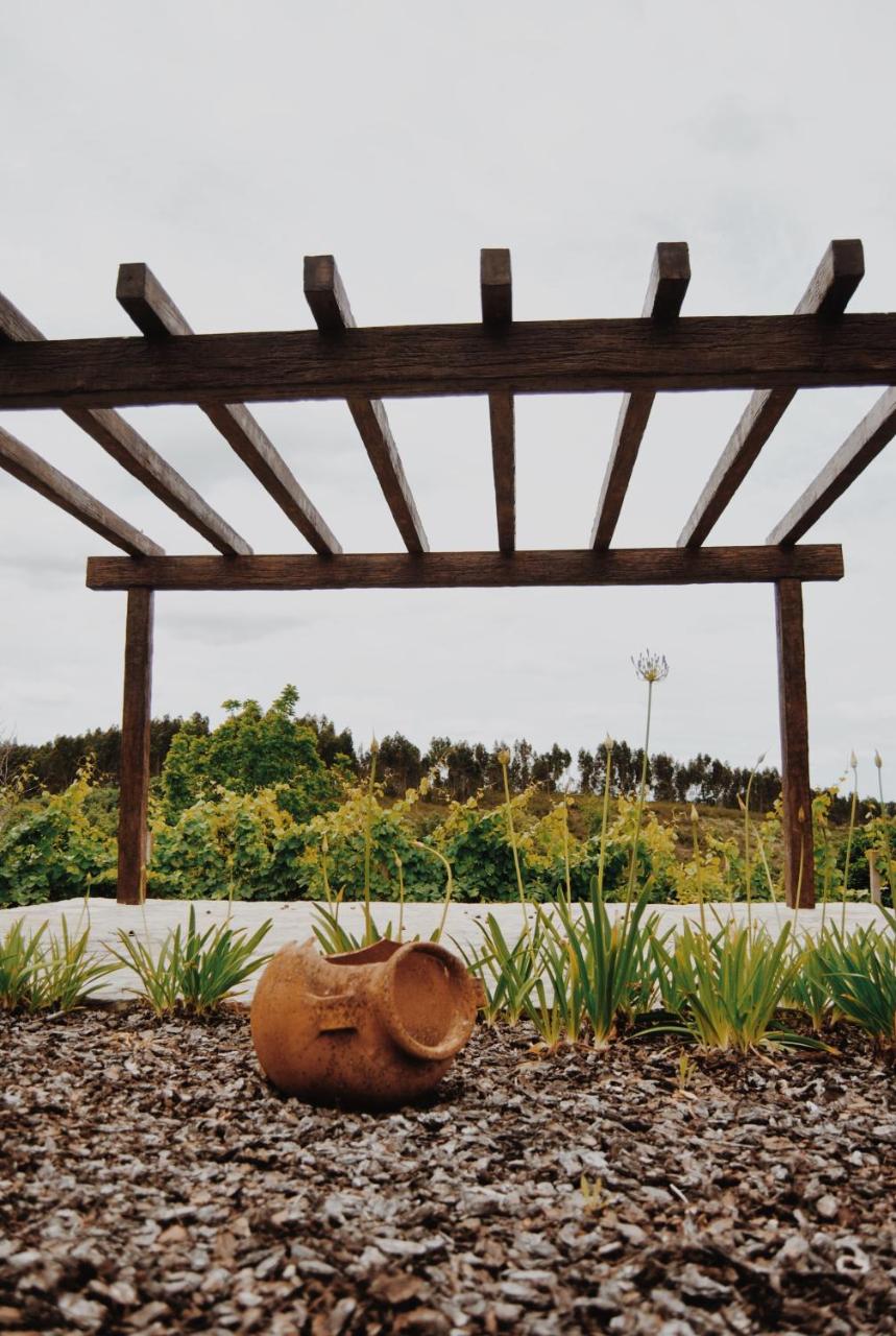 Quinta de São Pedro de Tomar photo 2