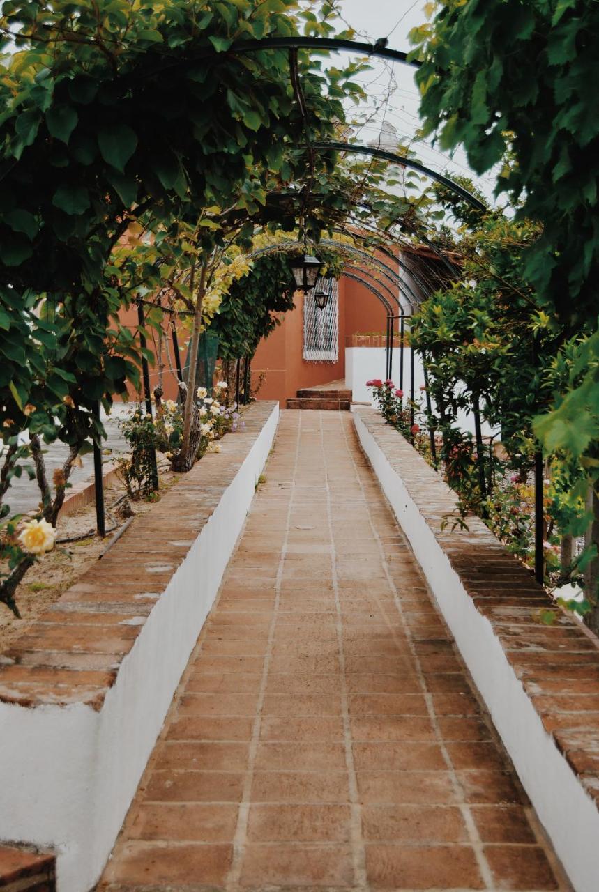 Quinta de São Pedro de Tomar photo 3