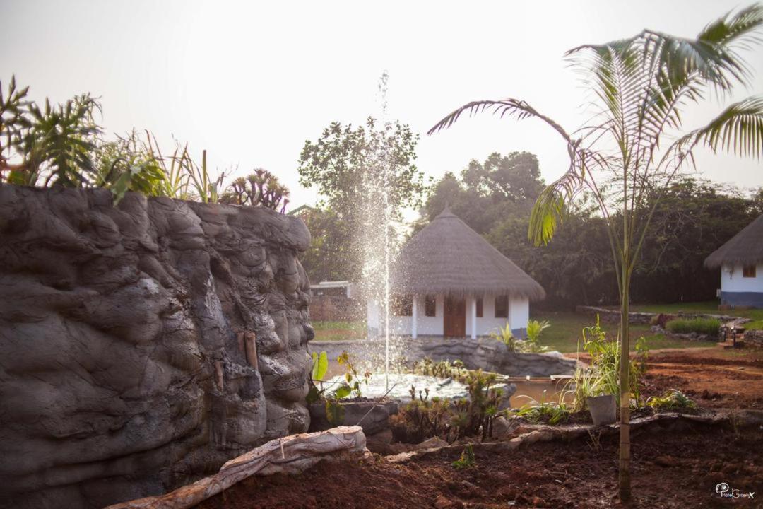 Village Noah photo 3