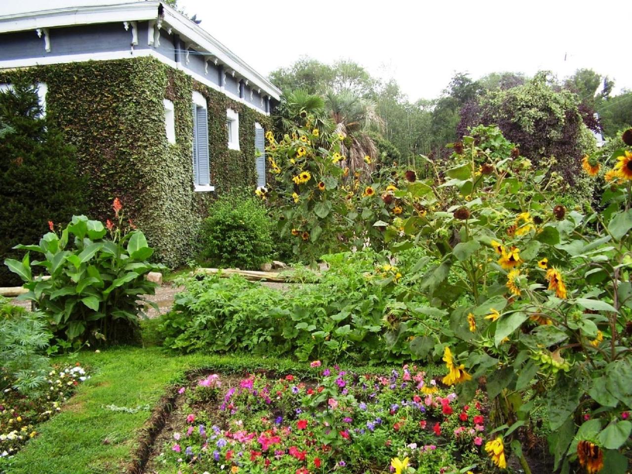 Hotel Alihuen photo 4