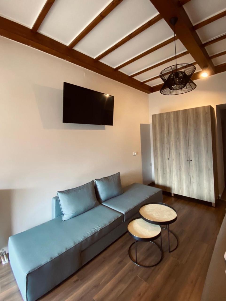 11 Luxury Apartments Metsovo. - 3