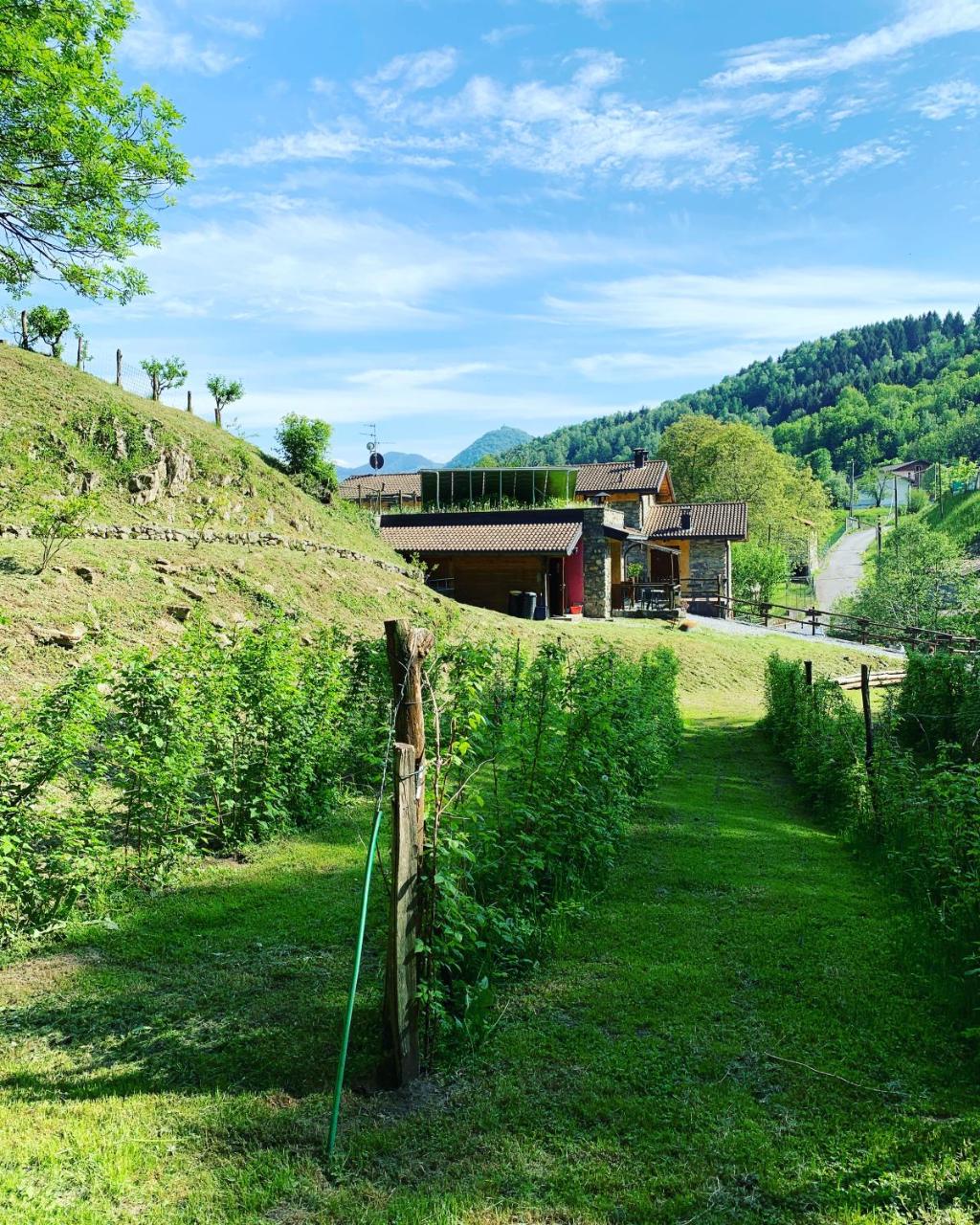 Agriturismo Il Talento Nella Quiete photo 3