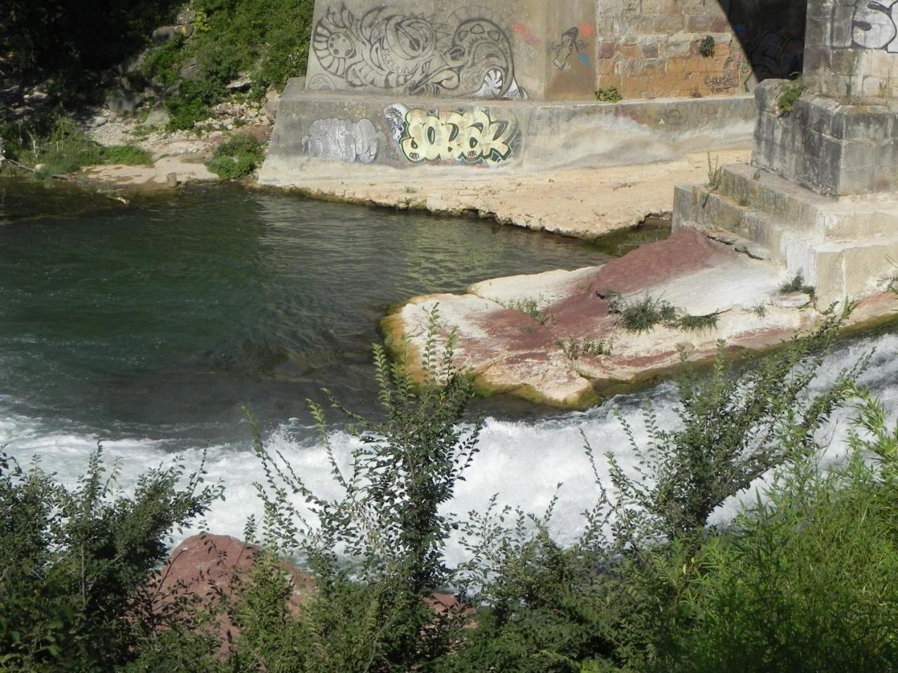 Hotel Aurelia photo 4
