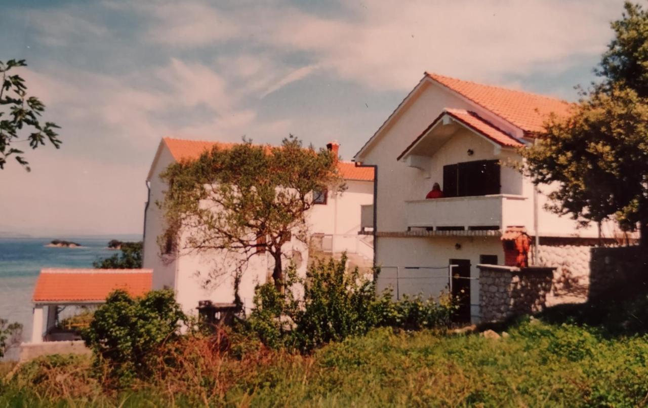 House Branka - 3