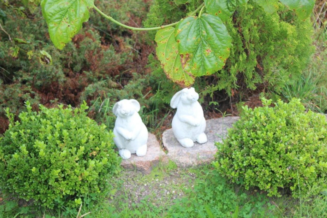 Windswept Country Retreat photo 4