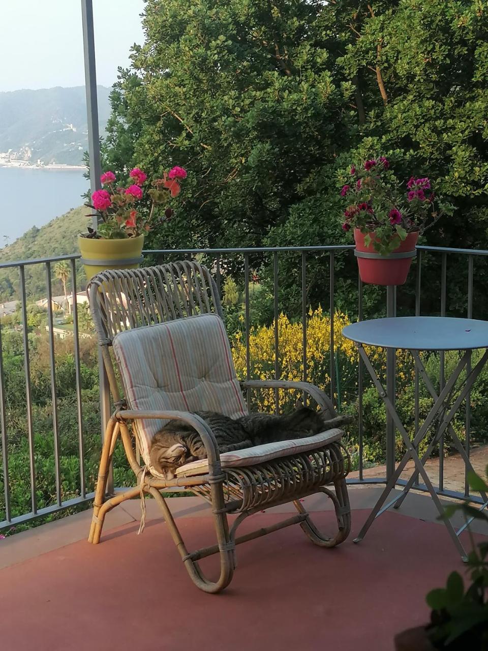 Oroverde photo 3