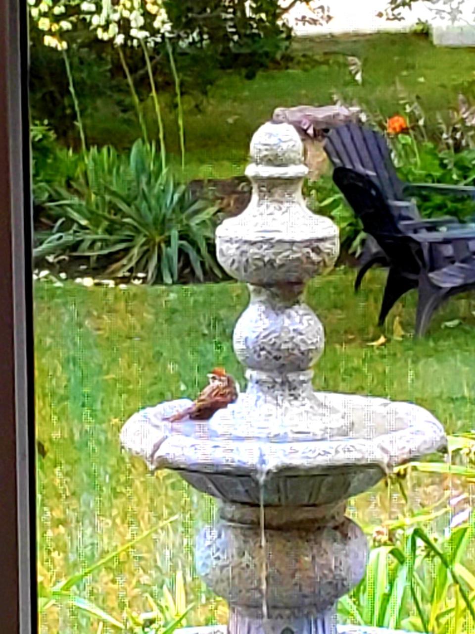 Elmere House Bed & Breakfast photo 2