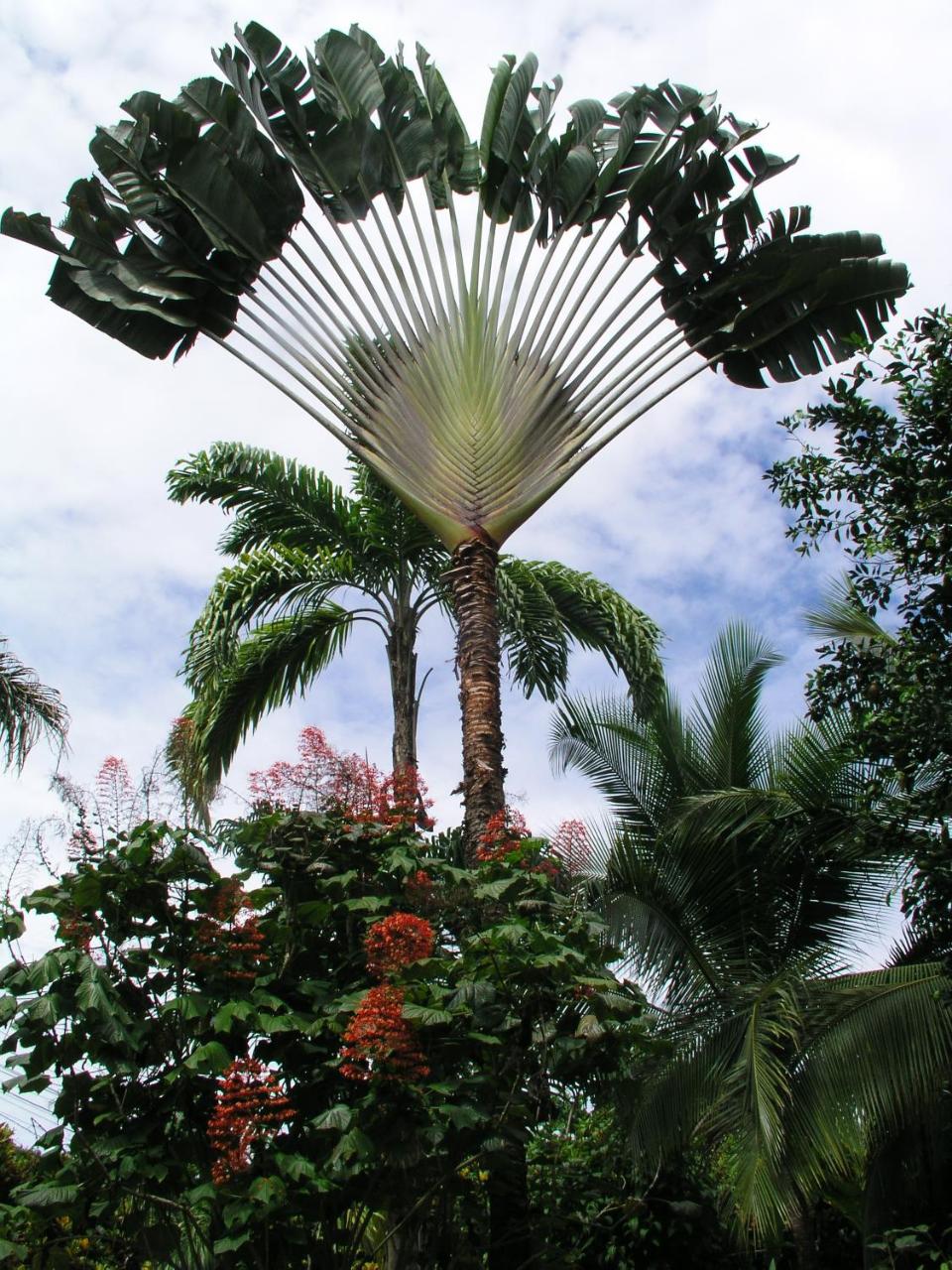 Tierra de Sueños Lodge & Wellness Center photo 2