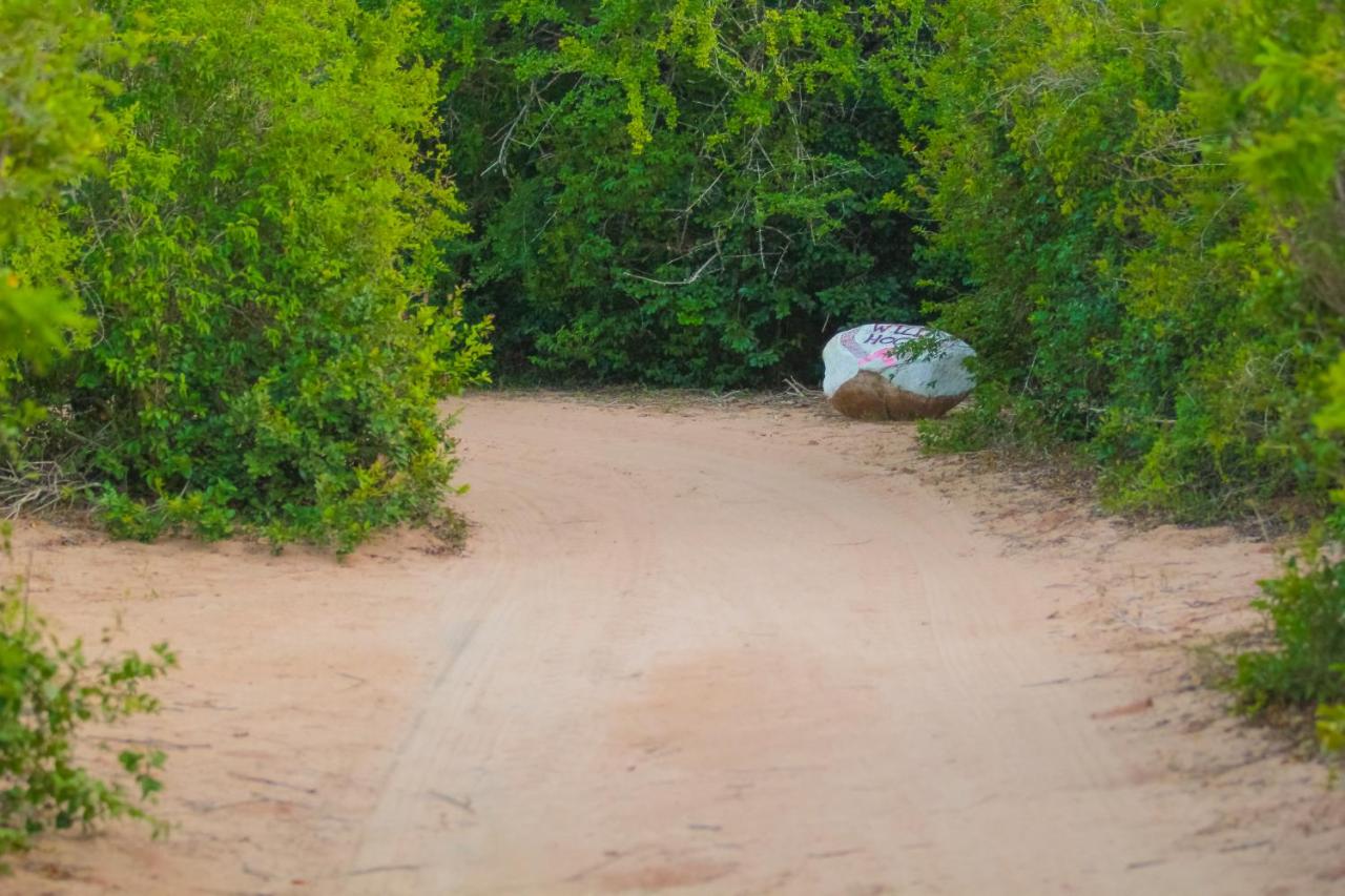 Yala Wild House photo 2