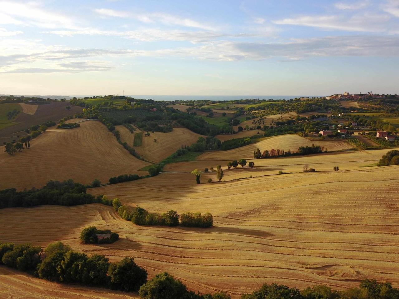 La meriggia Agriturismo- Ampio appartamento con terrazza esclusiva - 5