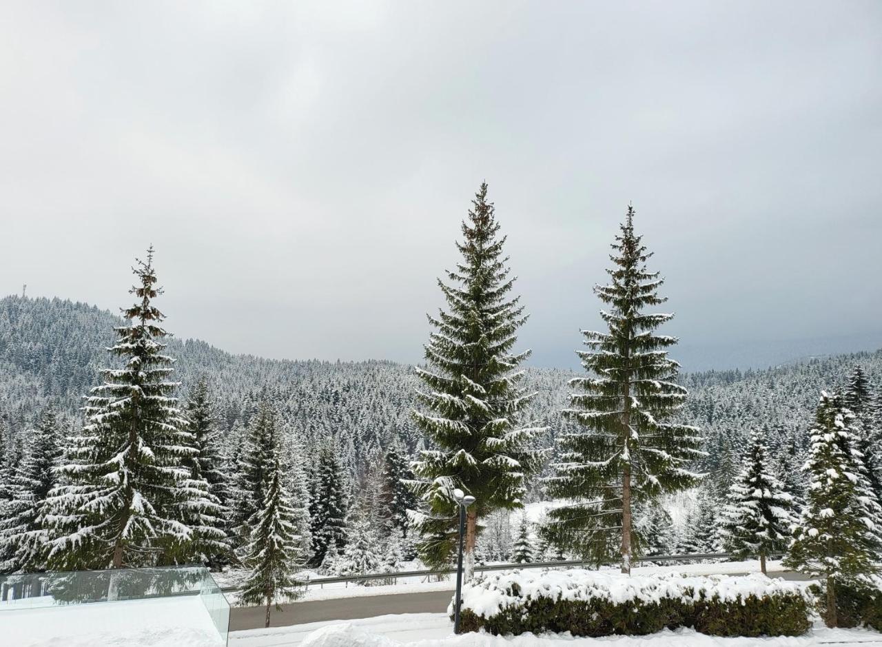 Hotel Forest - 5