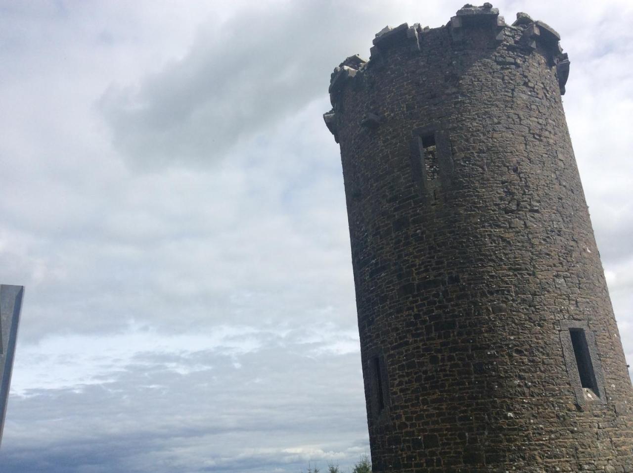 Oakdale, Templemore, E41F856 photo 2