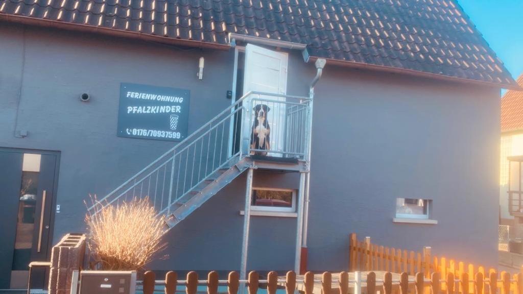 Pfalzkinder - 2
