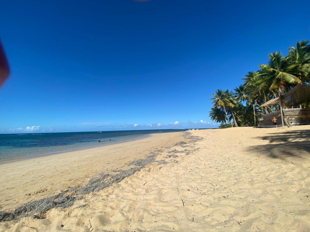 Las Terrenas beachfront 2 bedrooms condo with pool photo 3